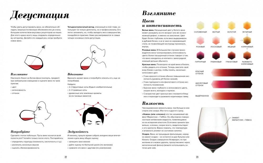 Wine Folly. Издание Магнум, детализированное фото книги 2