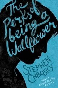 Unknown Title | The Perks of Being a Wallflower