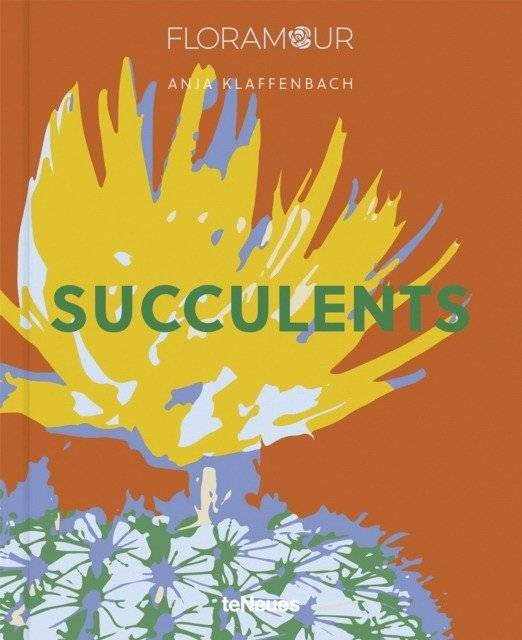 Succulents | Succulents