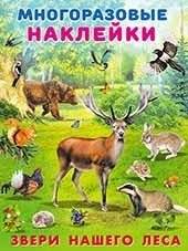 Звери нашего леса | Animals of Our Forest