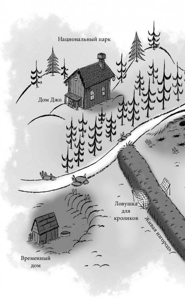Кроличий клад фото книги 6