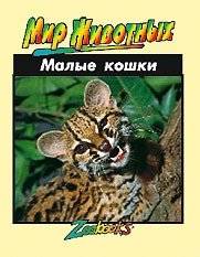 Малые кошки | Small Cats