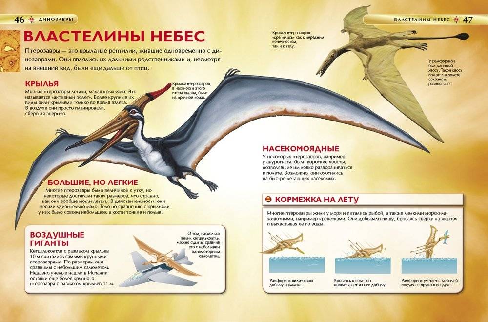 Динозавры. Детская энциклопедия фото книги 4
