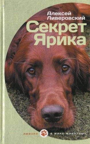 Секрет Ярика | Yarik's Secret