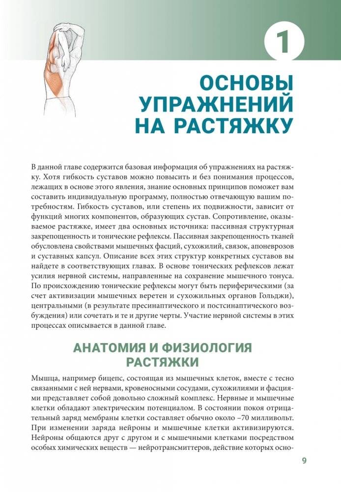 Анатомия упражнений на растяжку (новейшая редакция) фото книги 8