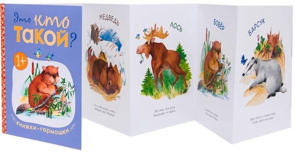Книжки-гармошки. Это кто такой? фото книги 2