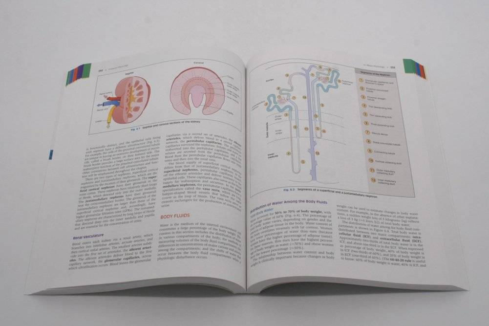 Costanzo Physiology, 7 Ed фото книги 5