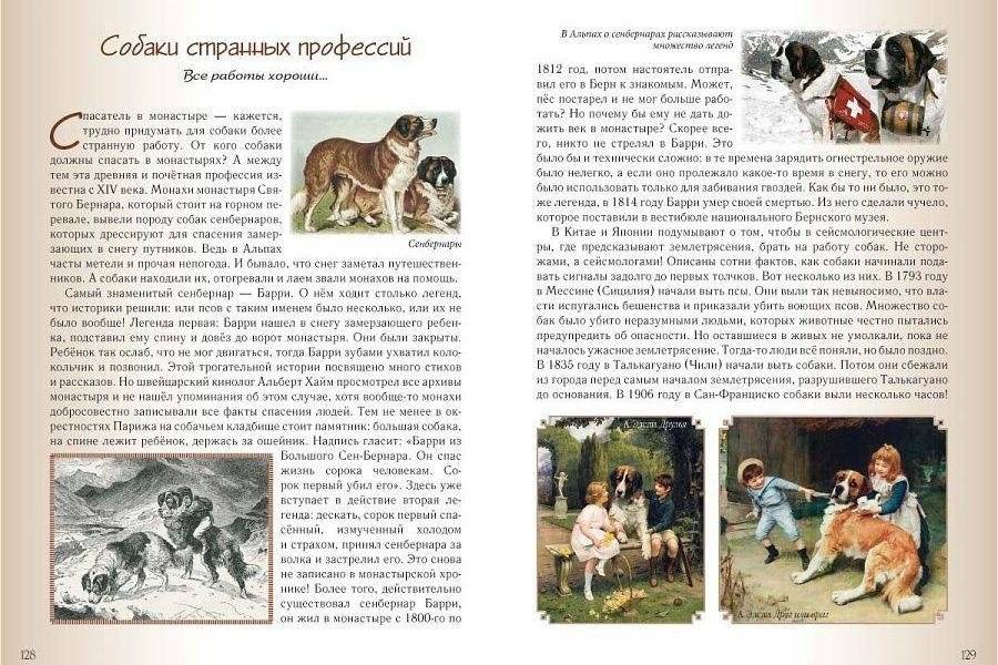 Кошки и собаки. Знакомые и неизвестные фото книги 8