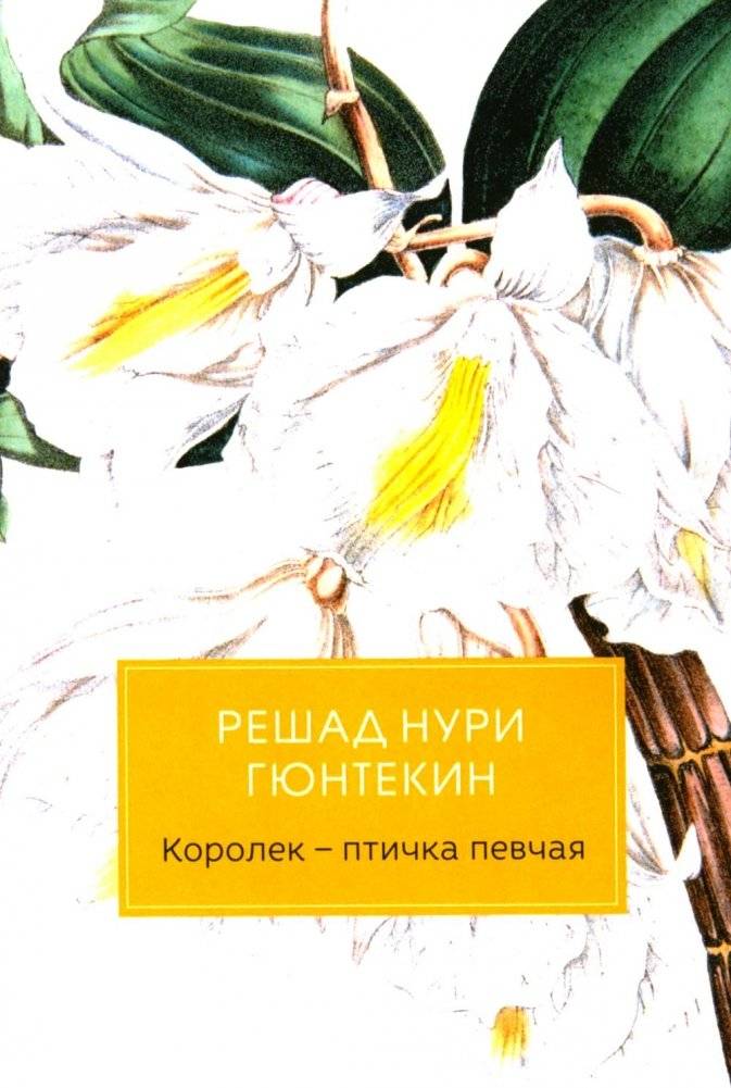 Королек - птичка певчая | The Wren