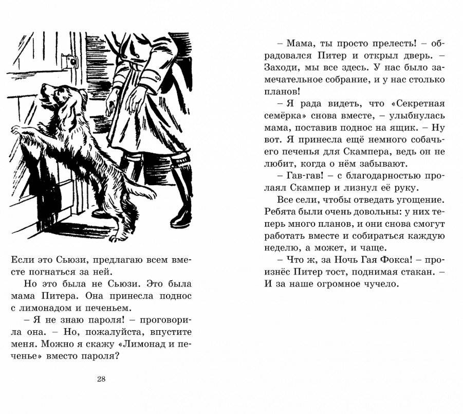 Странная кража фото книги 3