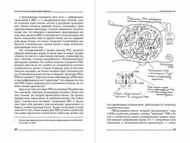 Хлопок одной ладонью. Как неживая природа породила человеческий разум фото книги 2