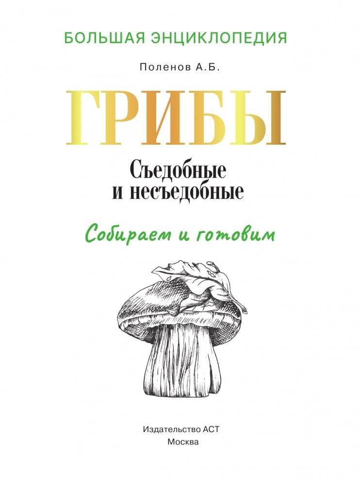 Большая энциклопедия. Грибы. Съедобные и несъедобные. Собираем и готовим. фото книги 2