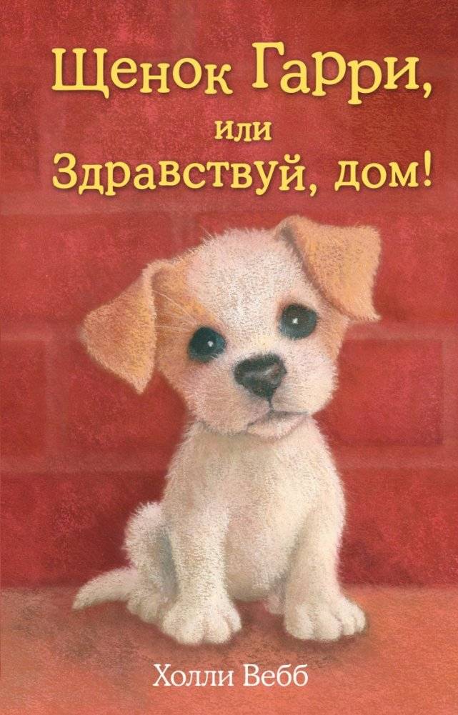 Щенок Гарри, или Здравствуй, дом! | Harry the Puppy, or Hello, Home!