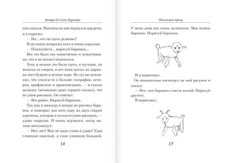 Маленький принц фото книги 8