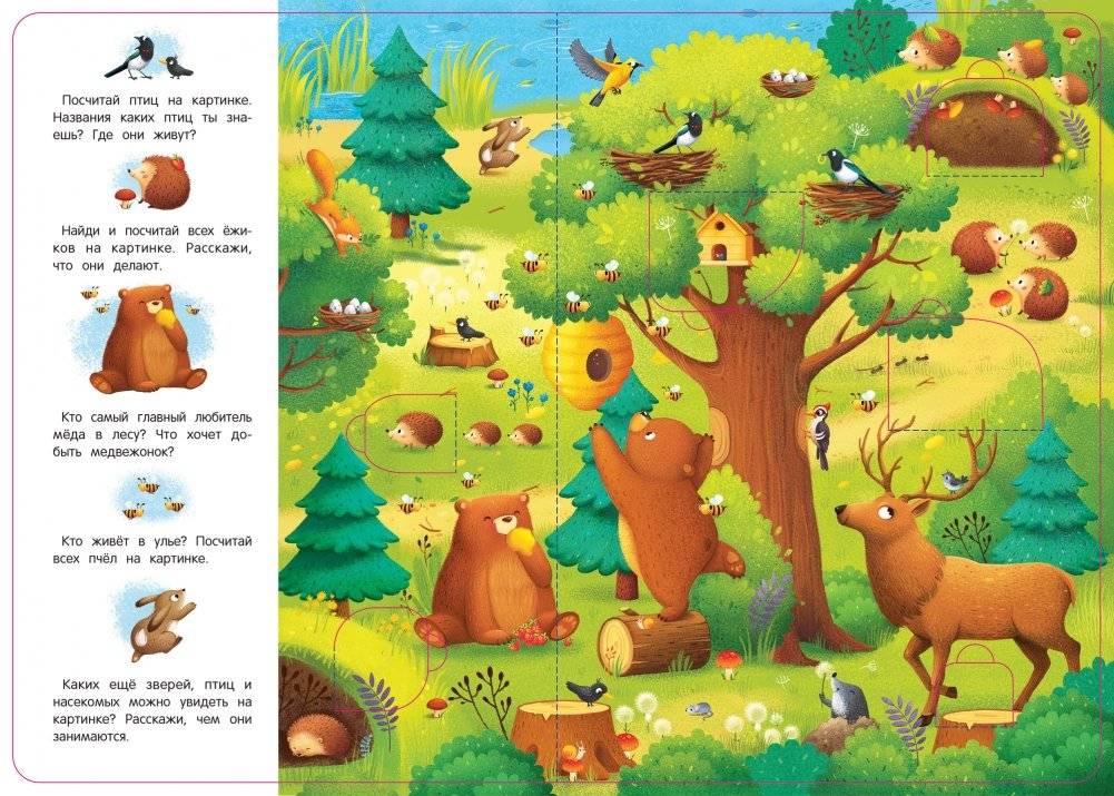В лесу. Книжка с окошками фото книги 2