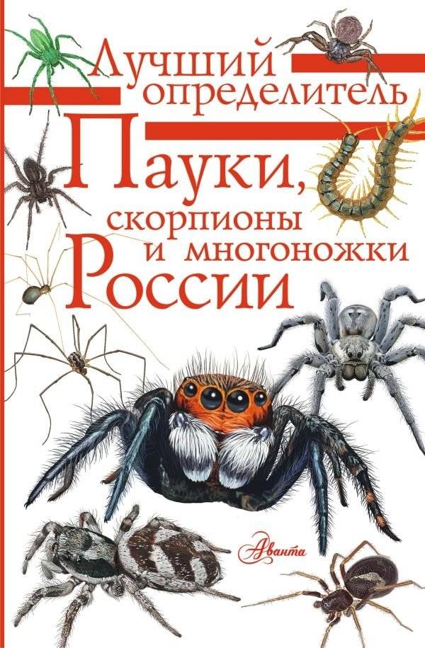 Пауки, скорпионы и многоножки России | Spiders, Scorpions, and Myriapods of Russia