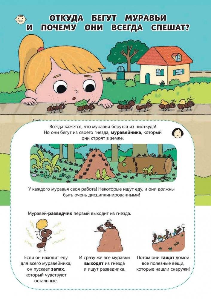 Почему трава зелёная? И другие вопросы о природе фото книги 2