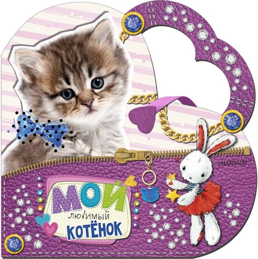 Мой любимый котенок | My Favorite Kitten