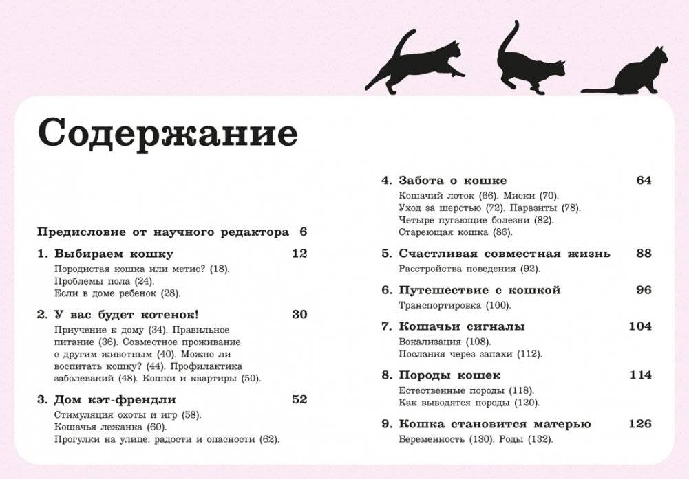 Гладить! Кормить! Любить! Замурчательное пособие по счастливой жизни с кошкой фото книги 2