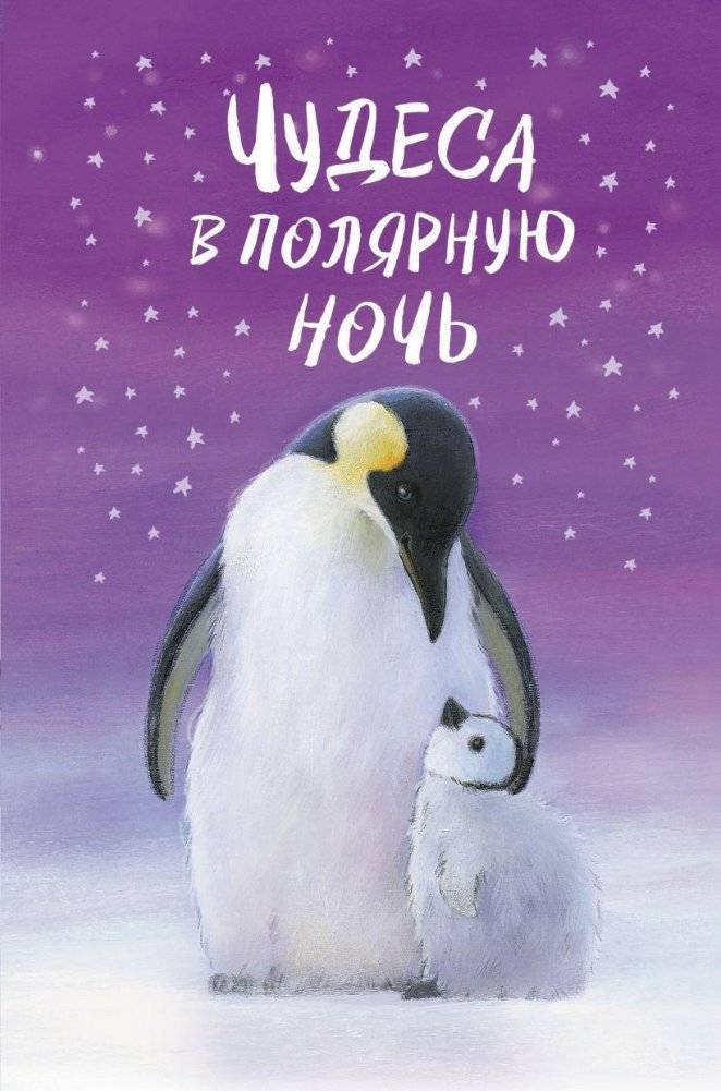 Чудеса в полярную ночь | Wonders in the Polar Night
