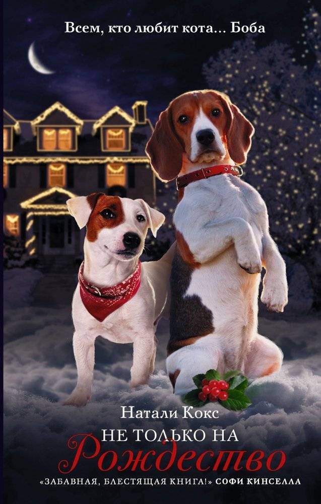 Не только на Рождество | Not Just for Christmas