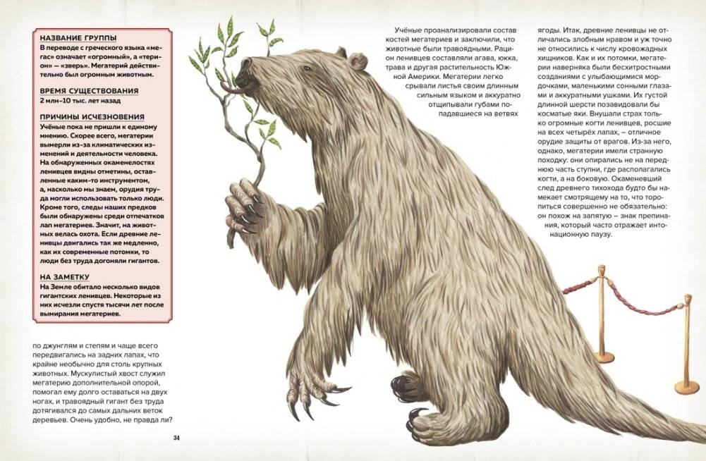 Музей доисторических животных. Единороги, мамонты, динозавры и другие экспонаты фото книги 6