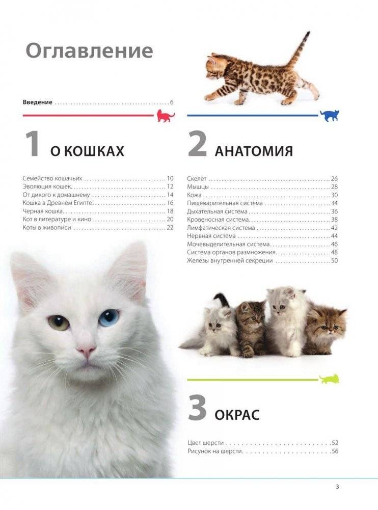 Кошки. Самая полная иллюстрированная энциклопедия фото книги 2