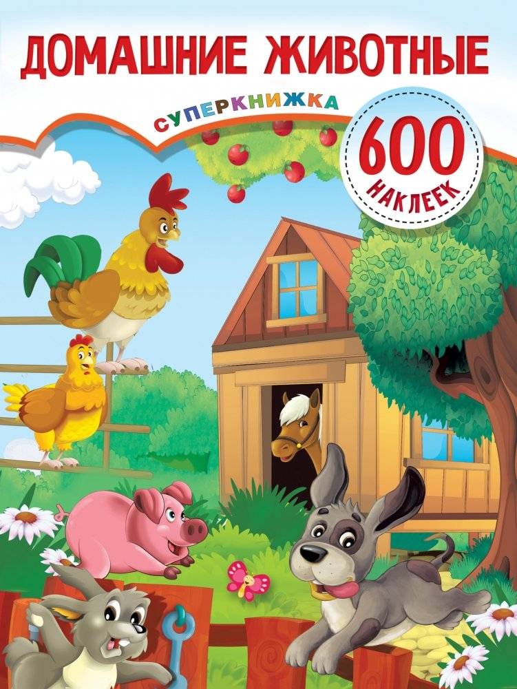 Домашние животные | Domestic Animals