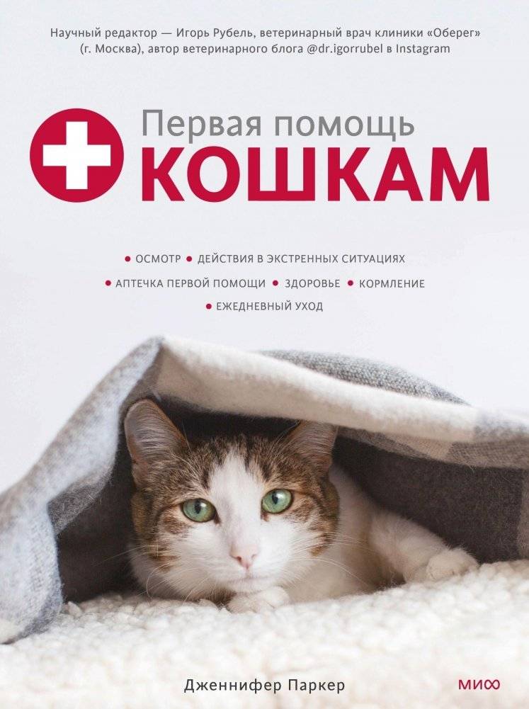 Первая помощь кошкам. Осмотр, действия в экстренных ситуациях, аптечка первой помощи, здоровье, корм | Pervaia pomoshch' koshkam. Osmotr, deistviia v ekstrennykh situatsiiakh, aptechka pervoi pomoshchi, zdorov'e, korm