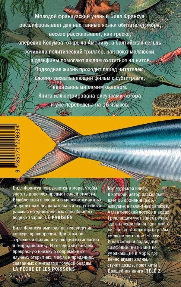 Красноречие сардинки фото книги 2
