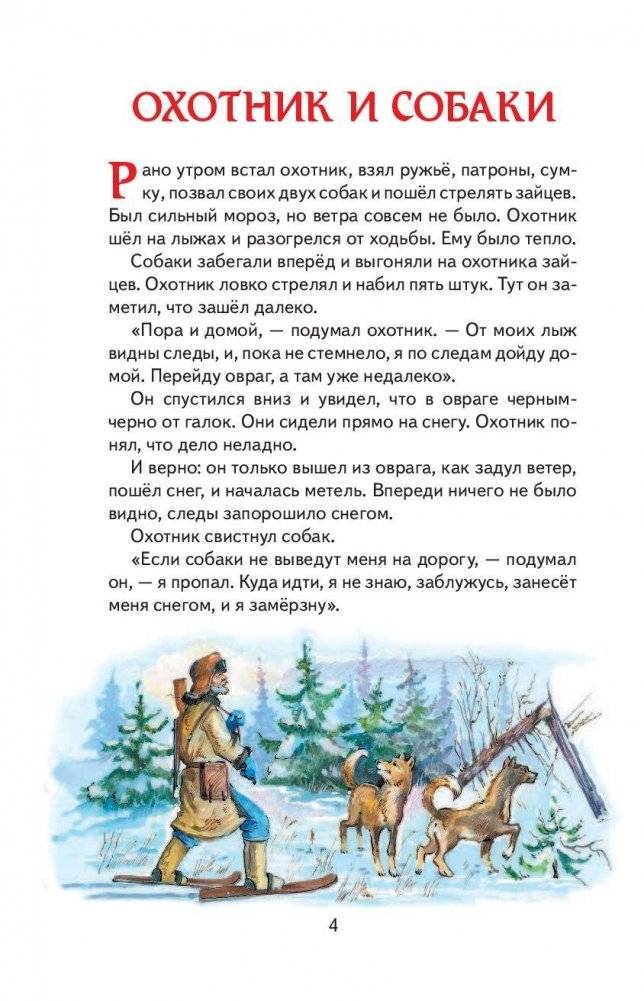 Кенгура фото книги 4