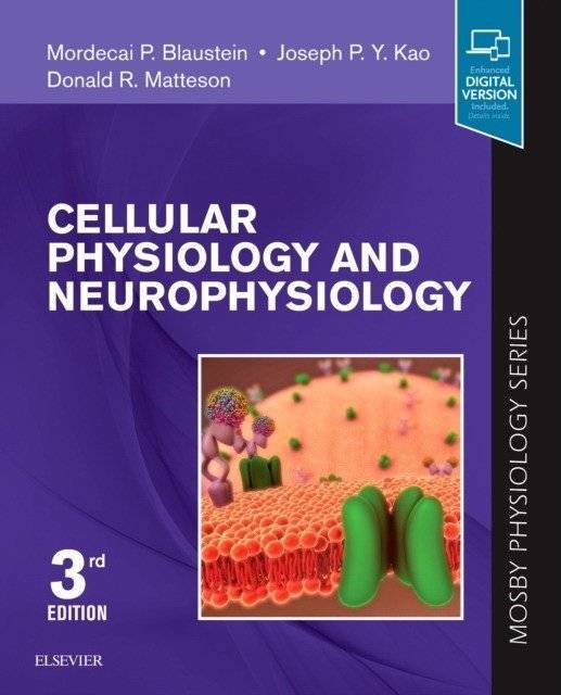 Клеточная физиология и нейрофизиология | Cellular Physiology and Neurophysiology