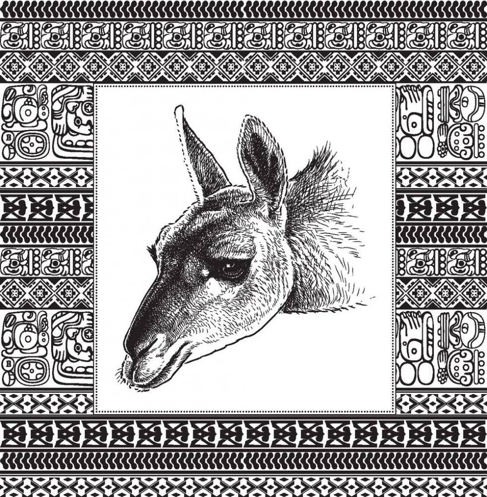 Ламы. No drama. Color lama. Раскраска-антистресс для творчества и вдохновения фото книги 6