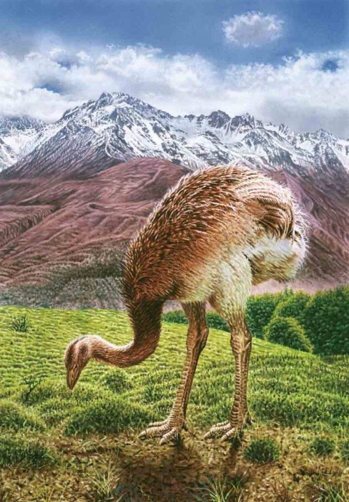 Книга исчезнувших животных. BIObook А. Толмачёва фото книги 7