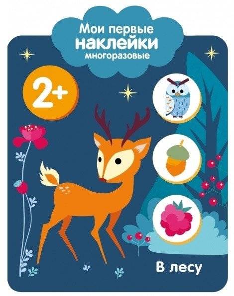 В лесу | In the Forest
