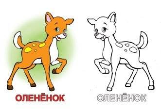 Раскраска. Звери фото книги 2