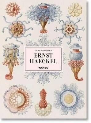 Искусство и наука Эрнста Геккеля | The Art and Science of Ernst Haeckel
