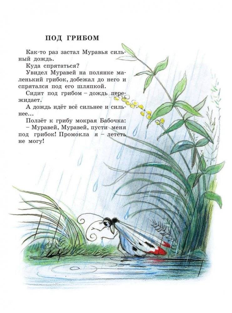 Книга сказок В. Сутеева фото книги 8