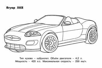 Ягуар. Раскраска фото книги 2
