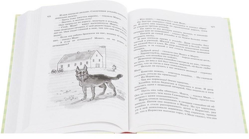 Всё о папе, маме, бабушке и 8 детях фото книги 6