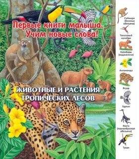 Животные и растения тропических лесов