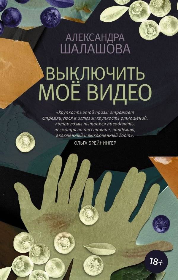 Выключить моё видео | Turn Off My Video