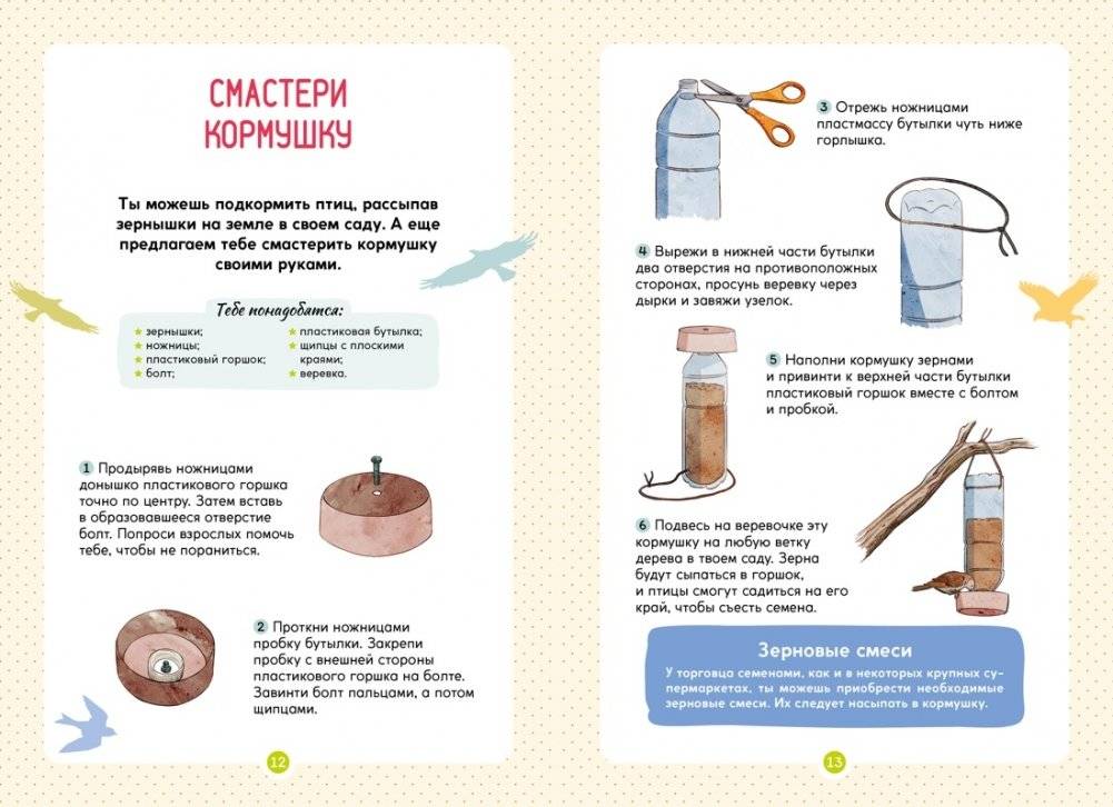 Птицы фото книги 4