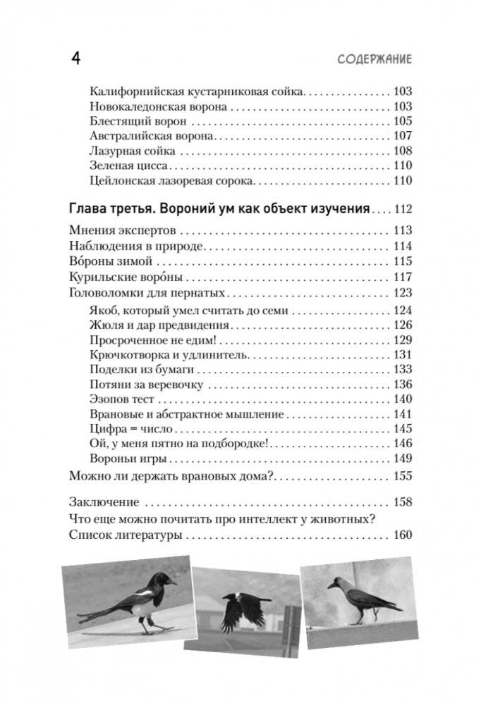 Самые умные птицы на свете. Вороны фото книги 5