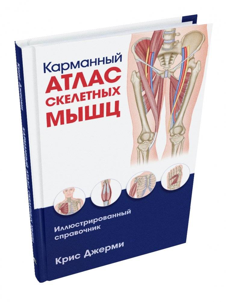 Карманный атлас скелетных мышц. Иллюстрированный справочник | Pocket Atlas of Skeletal Muscles: Illustrated Reference