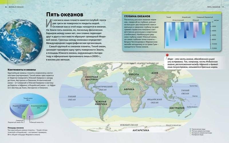 Жизнь в океане фото книги 3