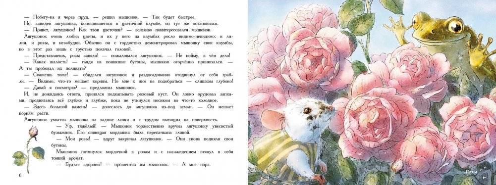 День рождения мышонка фото книги 2