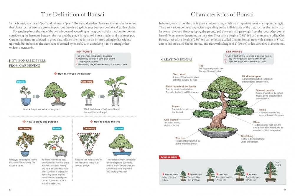 Bonsai master class фото книги 4