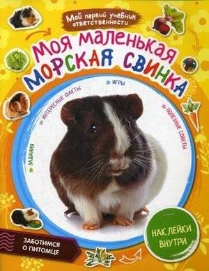 Моя маленькая морская свинка. Наклейки внутри | My Little Guinea Pig: Stickers Inside