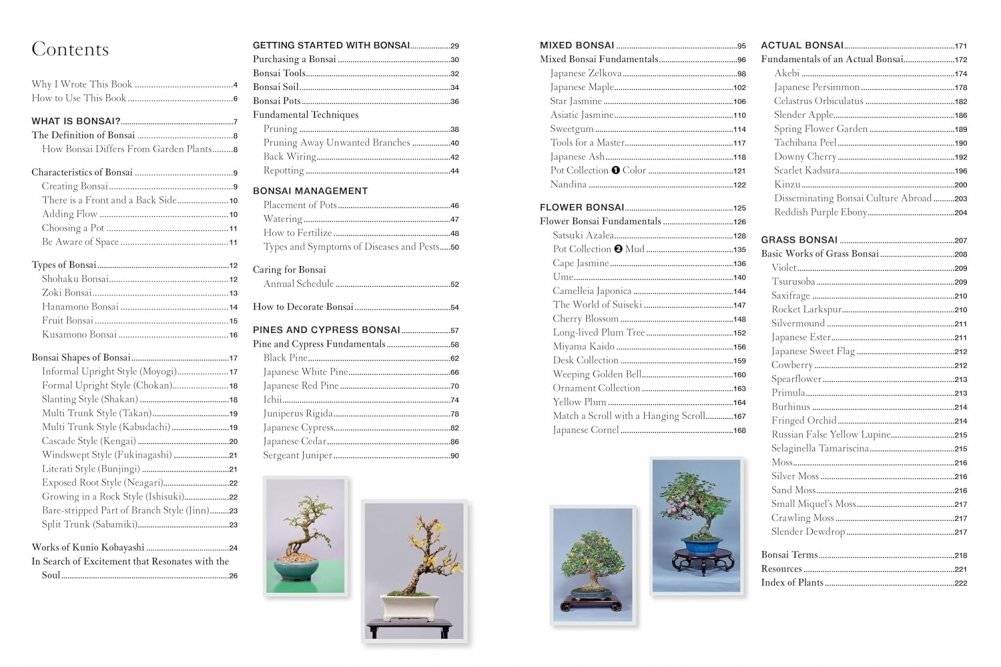 Bonsai master class фото книги 3